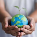 Understanding the Carbon Credit Market